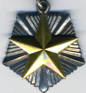 Мать-героиня № 53ххх