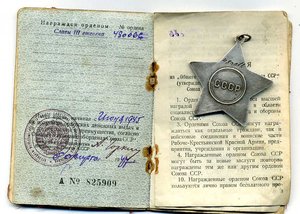 Слава 3 ст.,480066