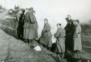 Фото SS: Тотенкопф, LAH, Das Reich, боевые и портретные, РОА