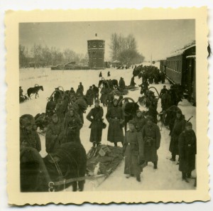 Фото SS: Тотенкопф, LAH, Das Reich, боевые и портретные, РОА
