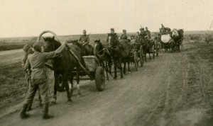Фото SS: Тотенкопф, LAH, Das Reich, боевые и портретные, РОА