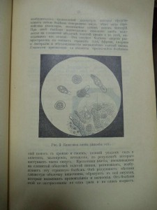 Графф Л., Линстов О. Паразитизм и паразиты. 1910г
