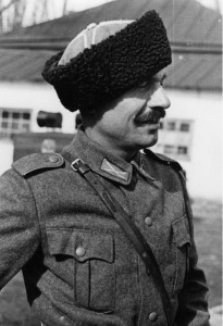 Казачья петлица, первый вариант