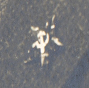 Фотография с редкой звёздочкой.