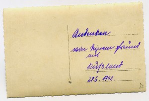 Гитлер в Запорожье, SS за борьбу с партизанами,фельджандарме