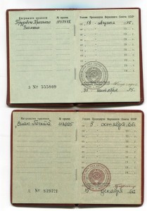 Трудовой комплект