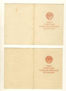 Дунайский полубант Неживого