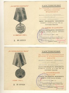 Дунайский полубант Неживого