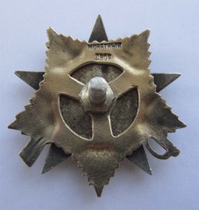 ОВ 1 ст 313690 с док.