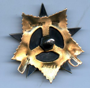 ОВ 1 степени 216 588. Мерседес.