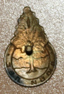 Редкий знак "Люби  лес"
