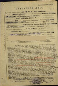 Невский на лётчика - истребителя!