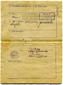 СУПЕР-РАРИТЕТ !!!!... ТЕХПАСПОРТ НА КОНЯ !