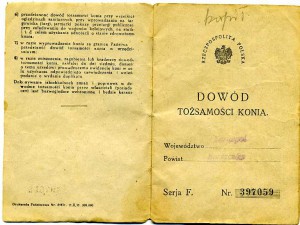 СУПЕР-РАРИТЕТ !!!!... ТЕХПАСПОРТ НА КОНЯ !