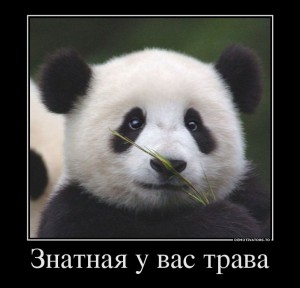 Хочу уведомить...