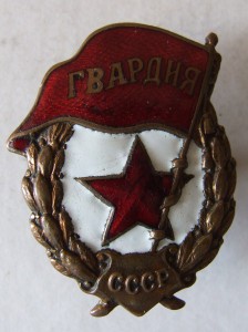 Гвардия боевая с док.
