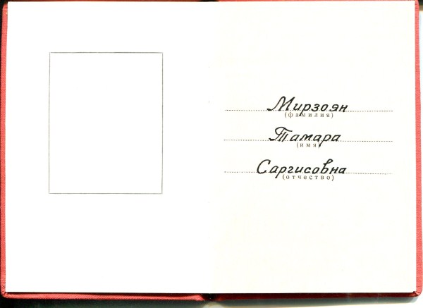 док За трудовую доблесть, Георгадзе, док Ветеран Труда