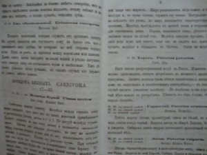 Описательный каталог. (Млекопитающие и птицы). 1870г. Вильна