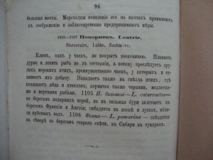 Описательный каталог. (Млекопитающие и птицы). 1870г. Вильна