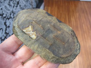 Щит Демьянск