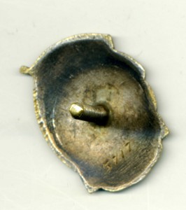 Наркомэлктро