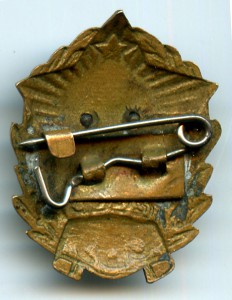 Знак СВУ на застежке