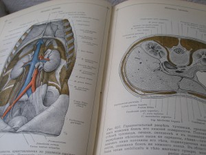2 книги анатомического атласа,1913 год