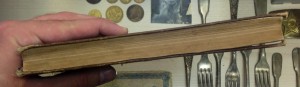 А.С. Пушкин. ПУГАЧЕВСКИЙ БУНТ. 1882г. ЭЛИТНОЕ ИЗДАНИЕ