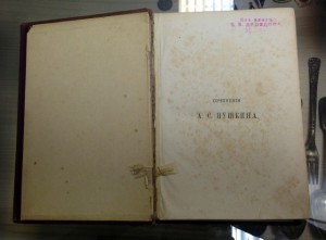 А.С. Пушкин. ПУГАЧЕВСКИЙ БУНТ. 1882г. ЭЛИТНОЕ ИЗДАНИЕ