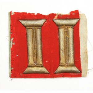 Часть лацкана мундира офицера Роты Дворцовых гренадер