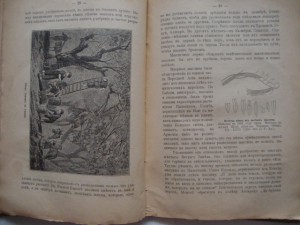 Вольногорский П. Растения - друзья человека. 1901г.