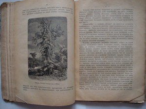 Вольногорский П. Растения - друзья человека. 1901г.