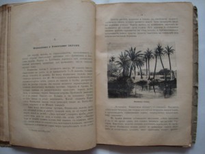 Вольногорский П. Растения - друзья человека. 1901г.