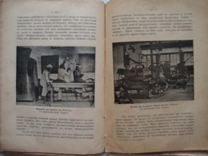 Вольногорский П. Растения - друзья человека. 1901г.