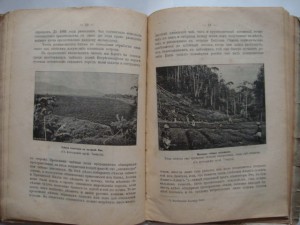 Вольногорский П. Растения - друзья человека. 1901г.