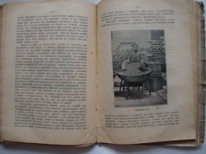 Вольногорский П. Растения - друзья человека. 1901г.