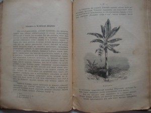 Вольногорский П. Растения - друзья человека. 1901г.