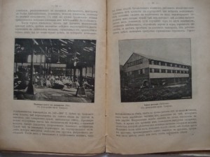 Вольногорский П. Растения - друзья человека. 1901г.