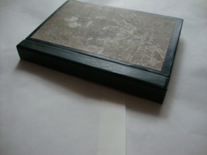 Дети Солнцевых. 1903г. Кондрашова, Е.Н.