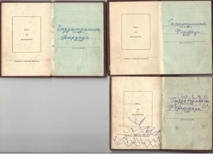 БГ на Мать Героиню и ОК на Медали материнства (3 шт.)