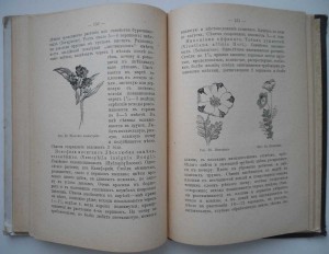 Редкая книга