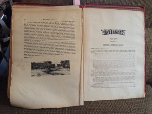Живописная Россия. Приморская и Амурская области.