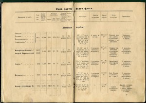 Россiйский Императорскiй Флот. 1914г.