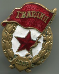 Гвардия+док