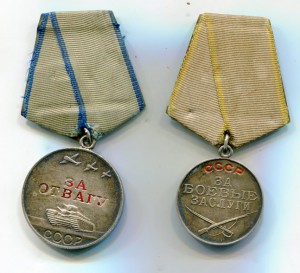 Отвага № 3520589 (ННГ)