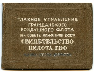 Доки ГВФ летчика с двумя Япониями