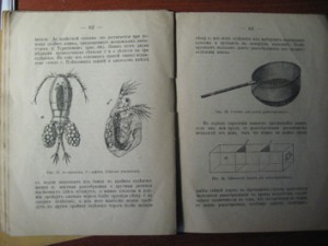 Куплю книги на тему аквариумистика XIX-XXвв.