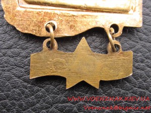 Знак "За дальний поход, ЮГ"