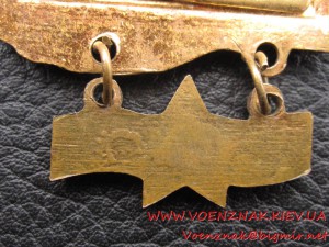 Знак "За дальний поход, ЮГ"