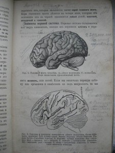 Психология. Челпанов. 1912г.